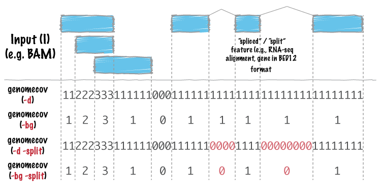 ../../_images/genomecov-glyph.png