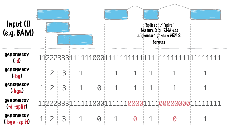 ../../_images/genomecov-glyph.png