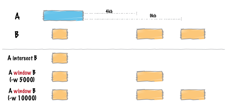 ../../_images/window-glyph.png