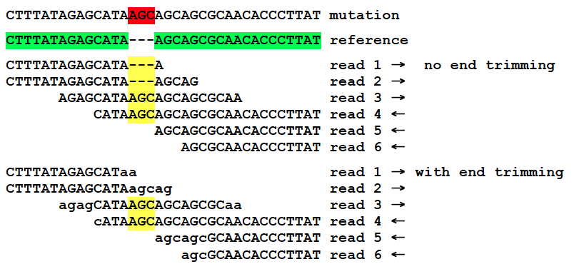 _images/missed_mutation_no_trimming.png