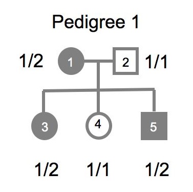figure simple_ped.jpg