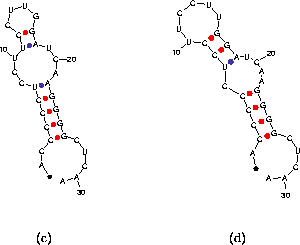 \begin{figure}\centering
\subfigure[]{\epsfig{file=1-again_1_zoom.ps,width=0.3\t...
...\subfigure[]{\epsfig{file=1-again_2_zoom.ps,width=0.3\textwidth} }\end{figure}
