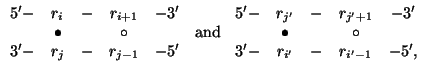 $\displaystyle \begin{array}{ccccc}
{\rm 5'}-&r_{i}&-&r_{i+1}&-{\rm 3'} \\
& \b...
... \\
& \bullet & & \circ \\
{\rm 3'}-&r_{i'}&-&r_{i'-1}&-{\rm 5'},
\end{array}$