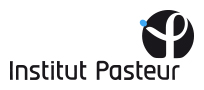 Institut Pasteur – Fondation
        d'utilité publique habilitée à recevoir des dons et des legs